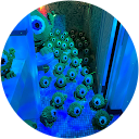 江靖嫻 profile picture