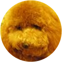 봉 profile picture