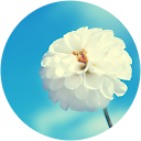 倪阿哆（哆） profile picture