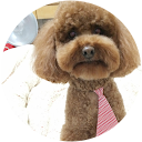 皮皮皮仔 profile picture